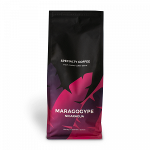 Specialty coffee beans "Nicaragua Maragogype", 1 kg