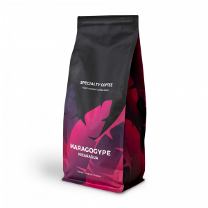 Specialty coffee beans "Nicaragua Maragogype", 1 kg